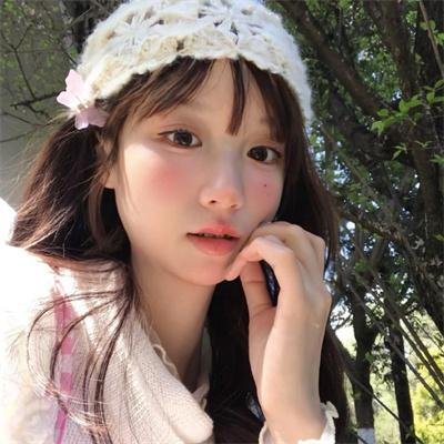 完美计划